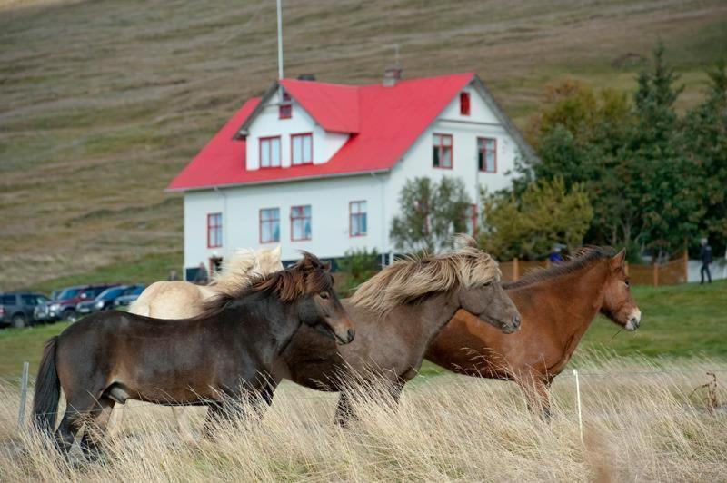 Geitaskarth Villa Blonduos Exteriör bild